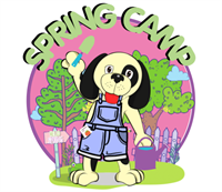 Kids Summer Camp in Pittsburgh Pittsburgh Kids Summer Camp