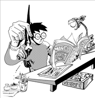 Anime and Manga 11-13