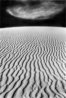 Beginning Analog Photography and Open Darkroom
