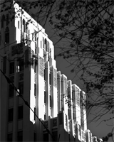 Intro to Black and White photography