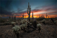 Landscape Photography