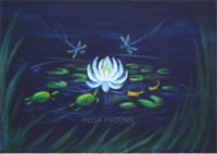 Creative Meditation (18+) Thunderbird