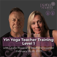 Yin Yoga Teacher Training - Level 1