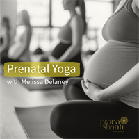 Prenatal Yoga: 6-Week Series | In-Person