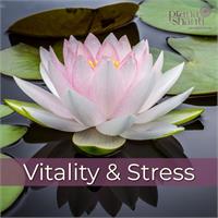 Level 2 Vitality and Stress