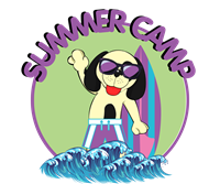 Katy Kids Summer Camp