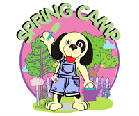 Midlothian Kids Summer Camp